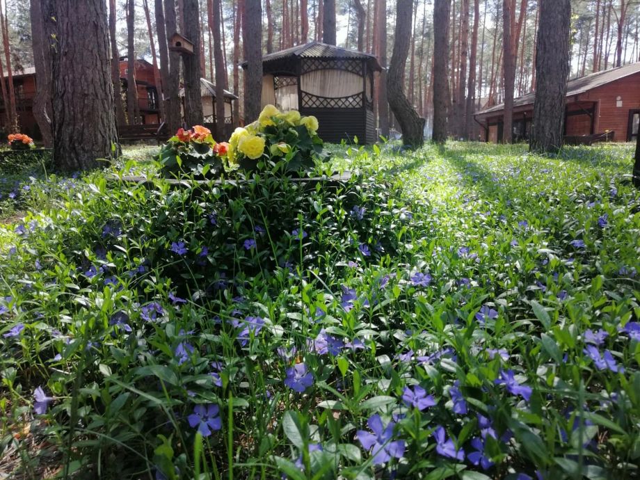 Беседки для компаний и семейного отдыха на базе отдыха «Аркадия»