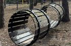 Активный отдых в верёвочном городке базы отдыха «Аркадия»
